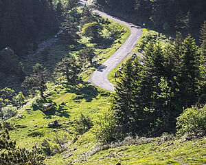 Enlarge picture (modal window)